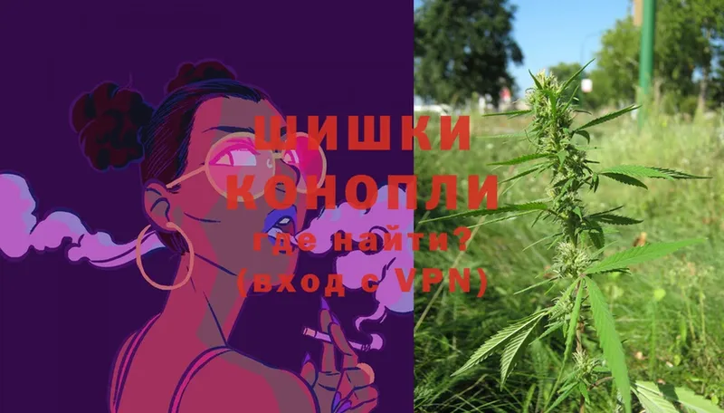 Бошки Шишки Ganja  купить наркоту  Алексин 